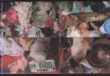 Ondo State female lawmaker suspended for possession of charms