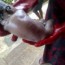 OAU STUDENT CAUGHT FLUSHING HER NEW BORN BABY INSIDE THE TOILET